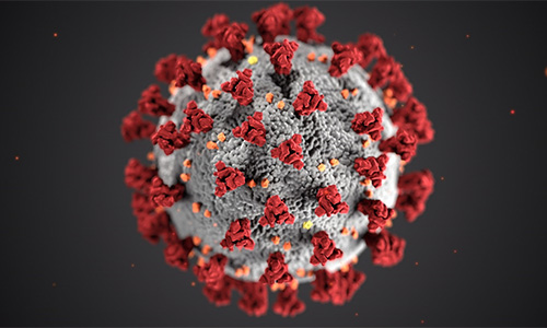 Coronavirus information